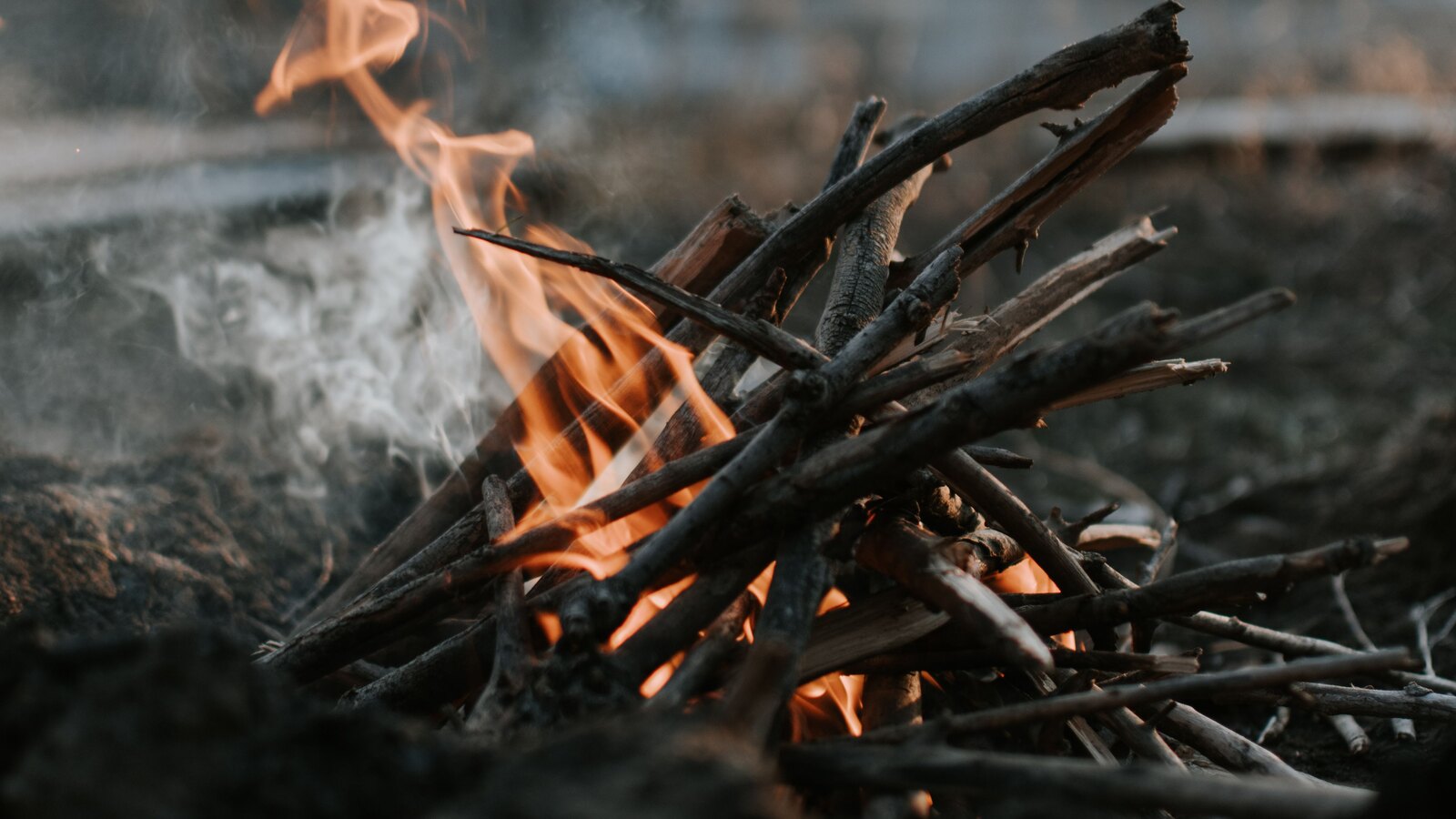 Wood smoke as the light goes