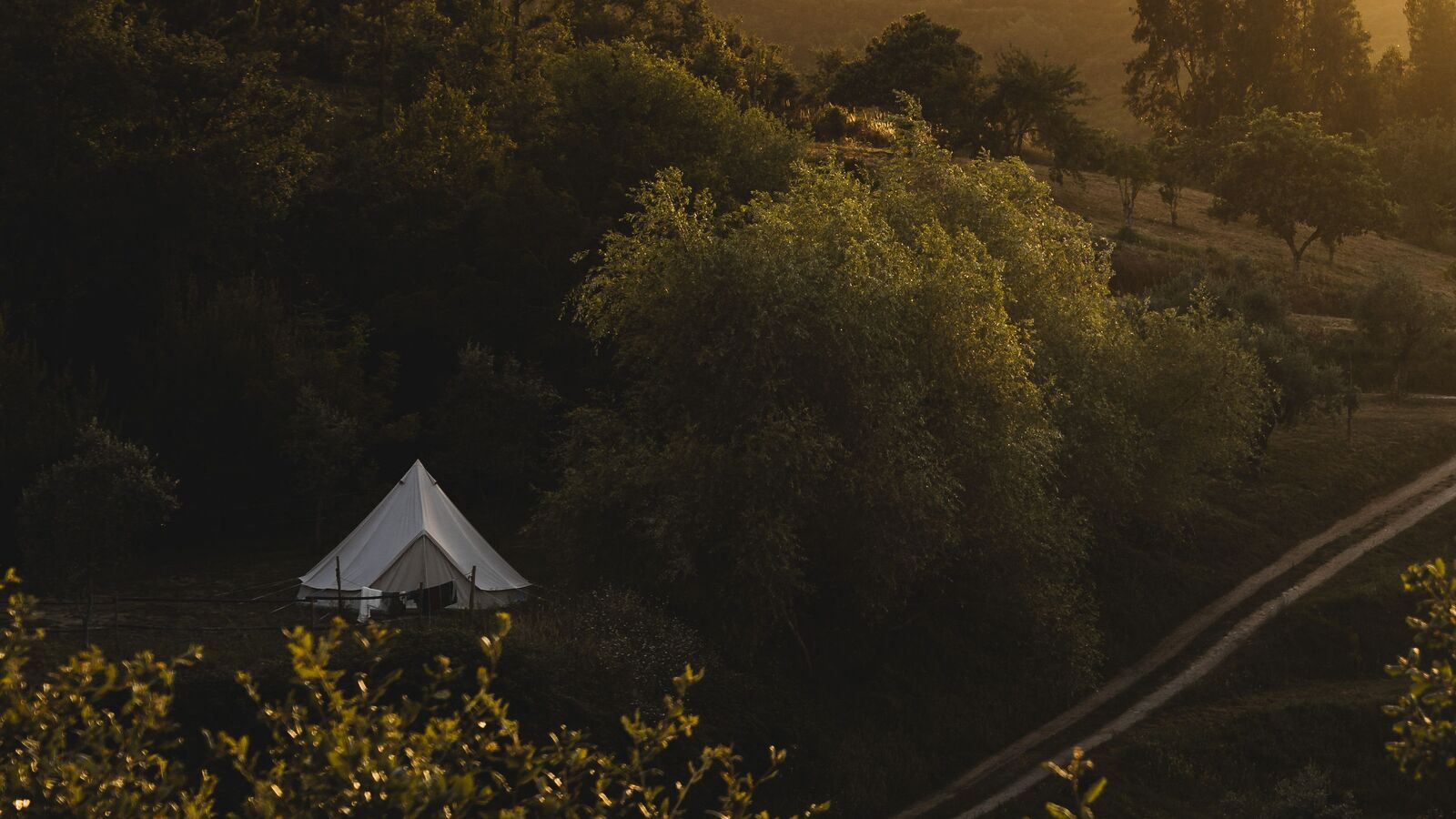 The site settling into dusk