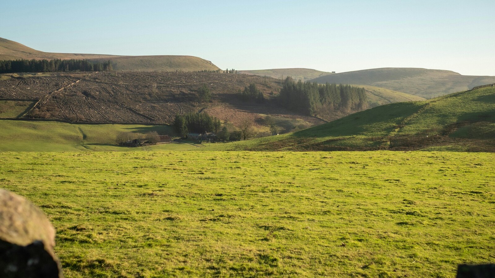 Grass pitches
