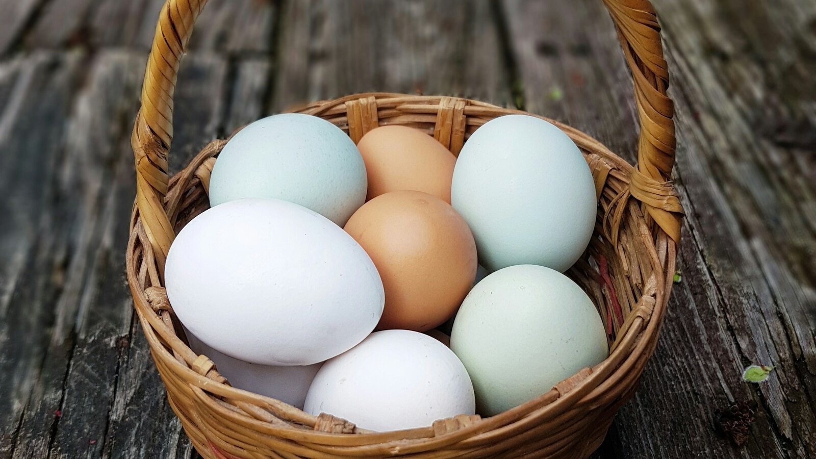 Fresh eggs in a basket on rustic wood at a farm